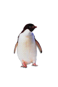 tucnak.gif